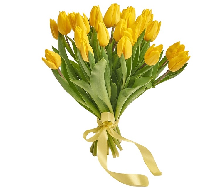 25 желтых тюльпанов от AzaliaNow