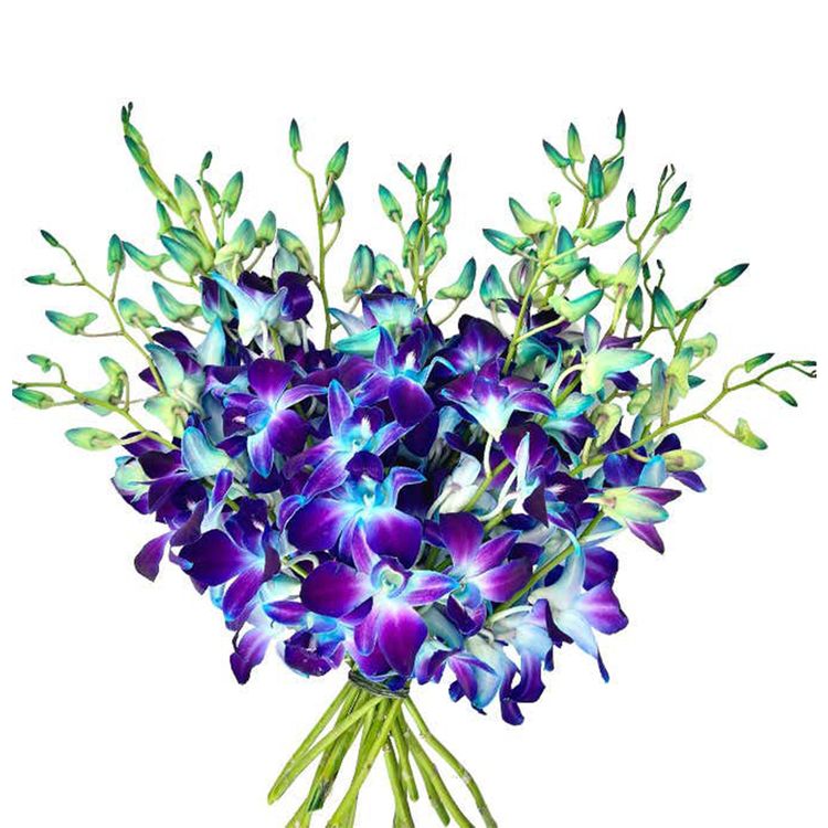 Букет из синих орхидей от AzaliaNow