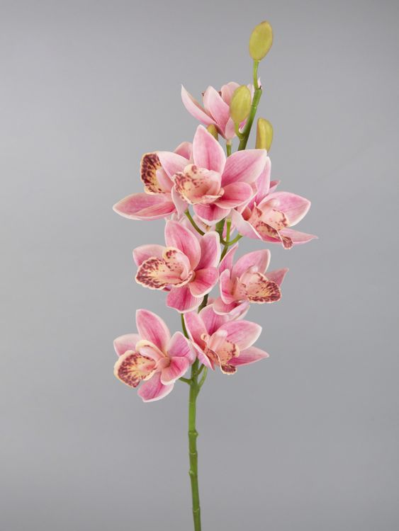 Искусственная орхидея от AzaliaNow