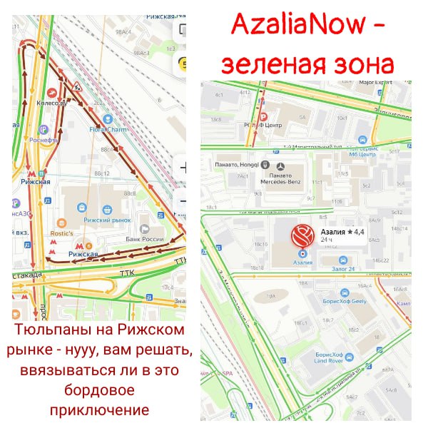 AzaliaNow зеленая зона