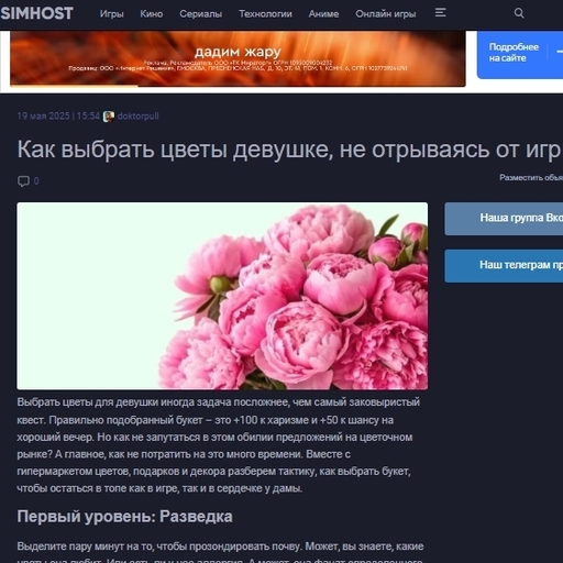 Мы в СМИ simhost.org