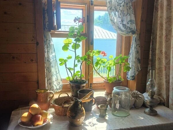 Самые известные цветы в СССР