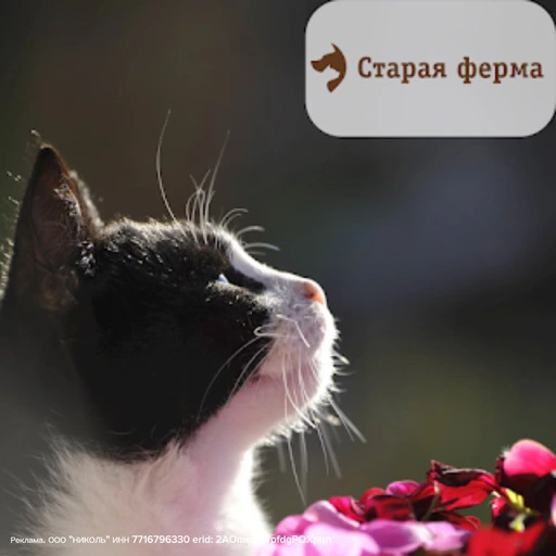 Скидка 15% на товары для животных