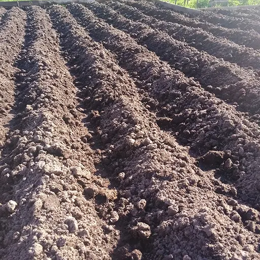 Готовим землю под картофель
