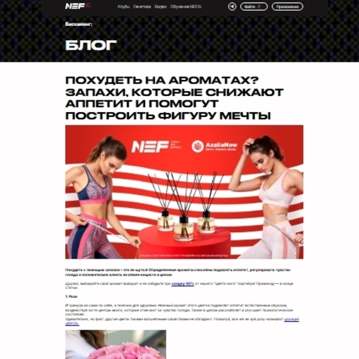 Материал в блоге NEF