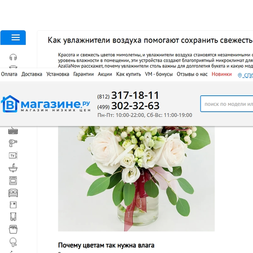 ВМагазине.ру. Статья об увлажнителях воздуха