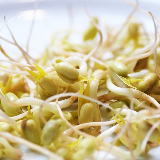 Какие культуры можно посеять в феврале