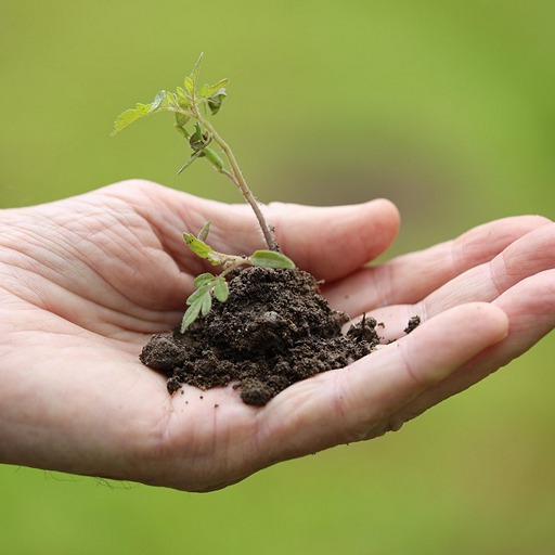 Лунный посевной календарь на апрель 2026