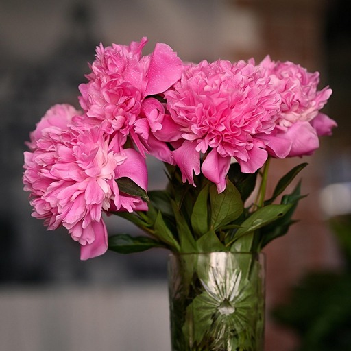 Пионы на годовщину отношений