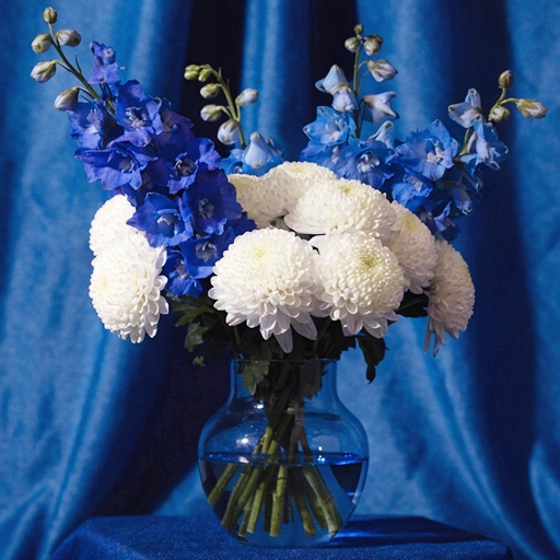 Синие цветы дельфиниума на фото