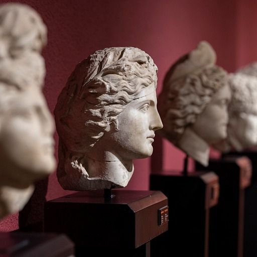 Музейные экспонаты