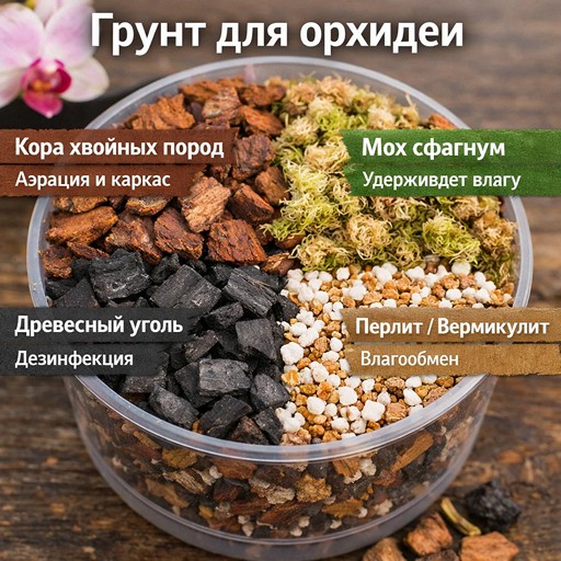 Состав грунта для орхидеи фаленопсис