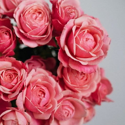 Как собрать букет роз в домашних условиях — советы и лайфхаки