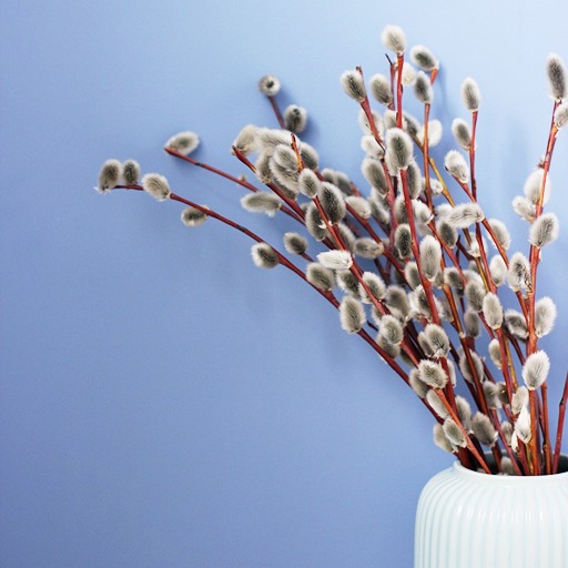 Веточки вербы в вазе