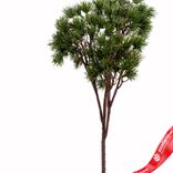 Маленькое фото 2: Ветка сосновая, 35см, зеленый
