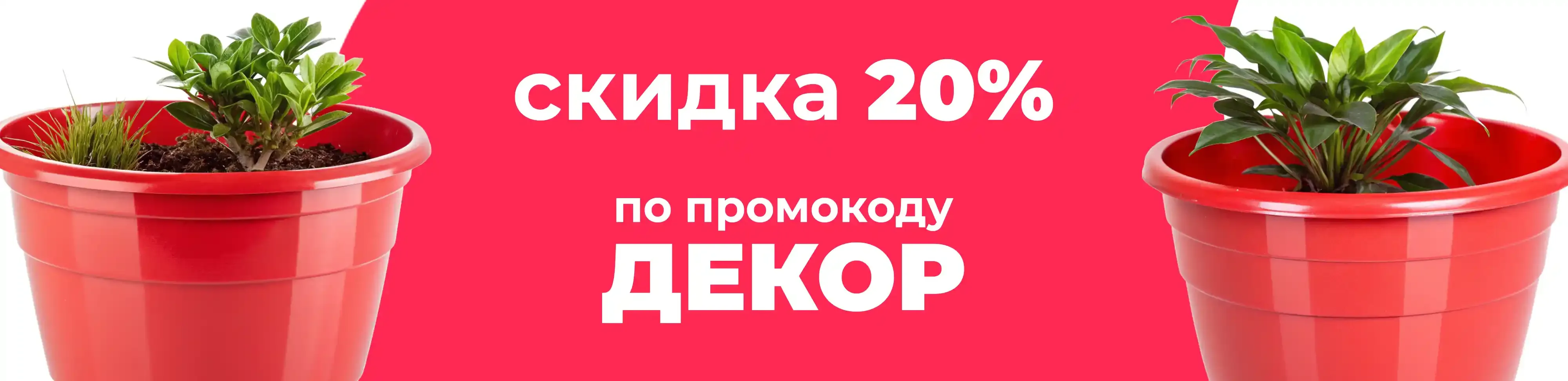 Баннер для рубрики: Горшки для фаленопсиса