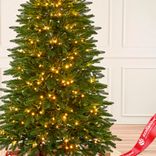 Маленькое фото 3: Ель искусственная с лампочками «Cамарская» (PE), 2,7м, зеленый