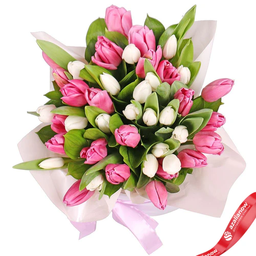 Фото 2: Букет из 16 белых тюльпанов и 15 розовых тюльпанов в белой коробке. Сервис доставки цветов AzaliaNow