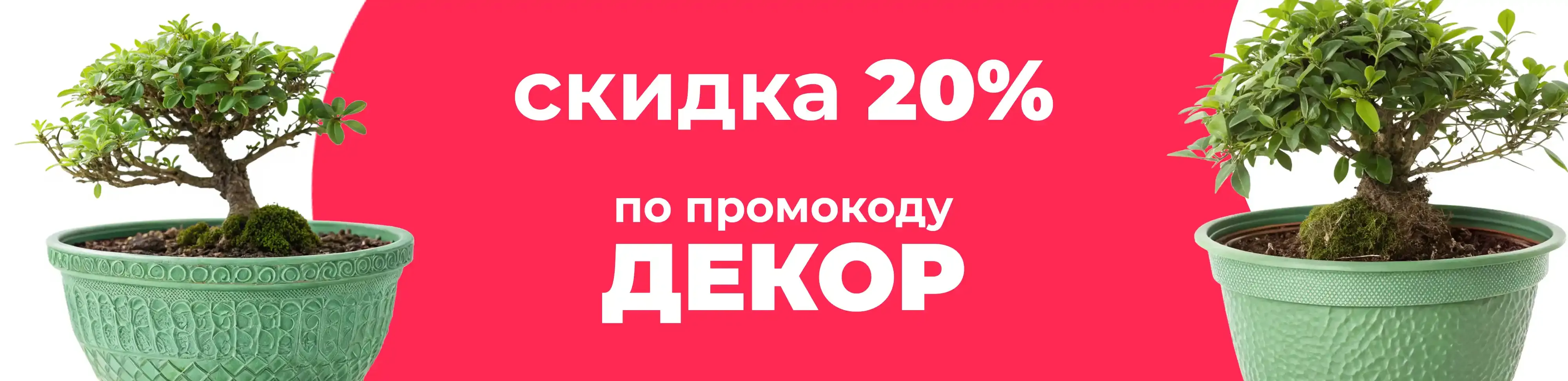 Баннер для рубрики: Горшки для бонсай