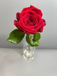 Фото флориста 6: Роза красная, Кения, 40см