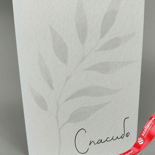 Открытка «Спасибо (ветка с листьями)», 10х14 см