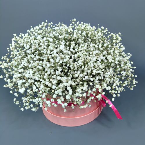 Фото флориста 2: Гипсофилы