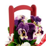 Маленькое фото 5: Корзина (дерево), 14х14х30см, бордовый