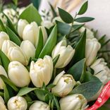 Маленькое фото 3: Весеннее вдохновение: 50 кремовых тюльпанов с рускусом. Сервис доставки цветов AzaliaNow