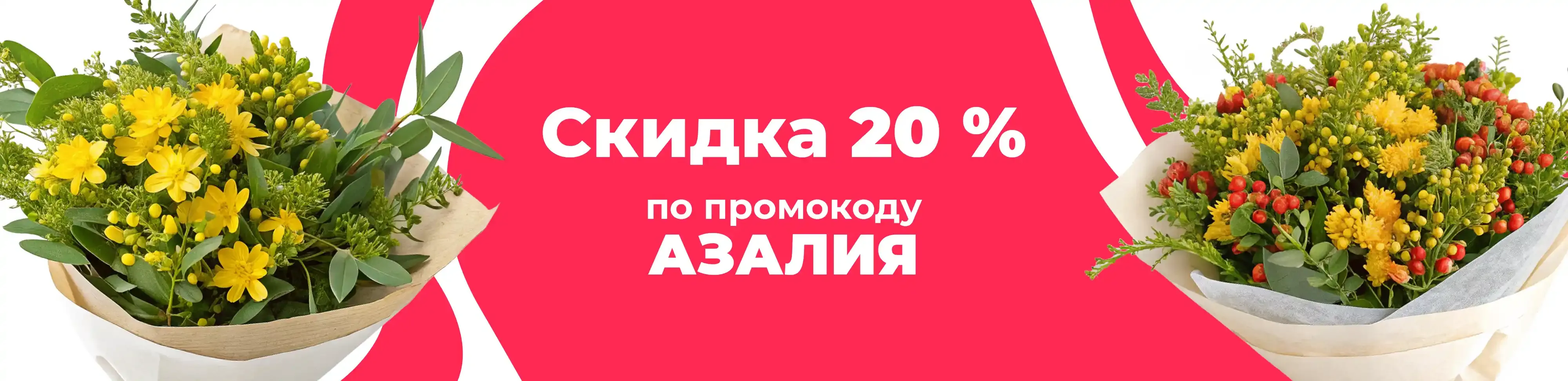 Баннер для рубрики: Гиперикумы