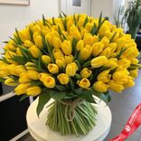 Маленькое фото 1: Акция! 500 желтых тюльпанов с зеленью фисташки, Россия. Сервис доставки цветов AzaliaNow