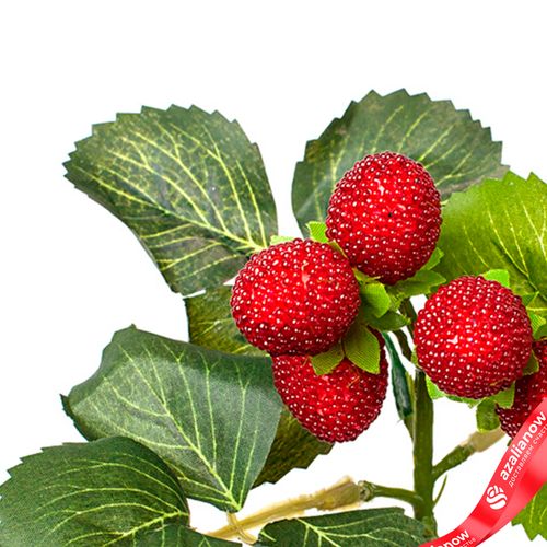 Фото 4: Ветка малины, 28см, красный