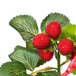 Маленькое фото 4: Ветка малины, 28см, красный