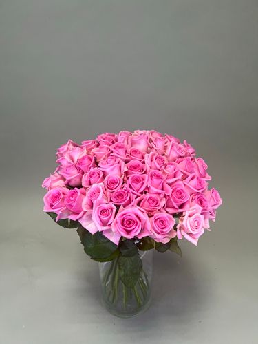 Показать все изображения