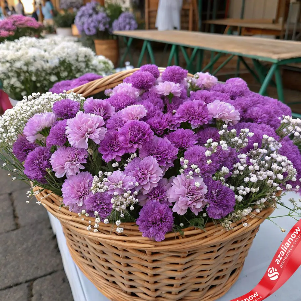 Букет из 101 фиолетовой гвоздики с гипсофилой в корзине