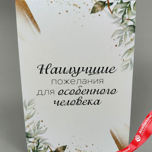 Открытка «Наилучшие пожелания для особенного человека», 10х14 см