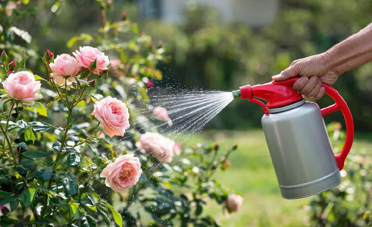 Уход за садом летом