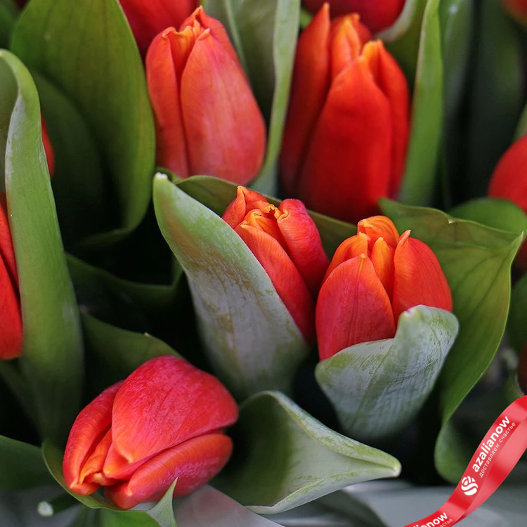 Фото 4: Букет из 31 красного тюльпана в темно-серой коробке. Сервис доставки цветов AzaliaNow