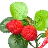 Маленькое фото 4: Ветка клубники, 28см, красный