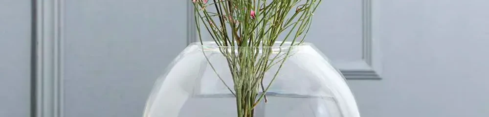 Прозрачные вазы