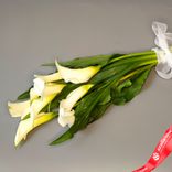 Маленькое фото 1: Букет из калл «Белая мечта». Сервис доставки цветов AzaliaNow