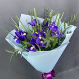 Фото флориста 1: Букет и 7 фиолетовых ирисов с зеленью в голубой пленке