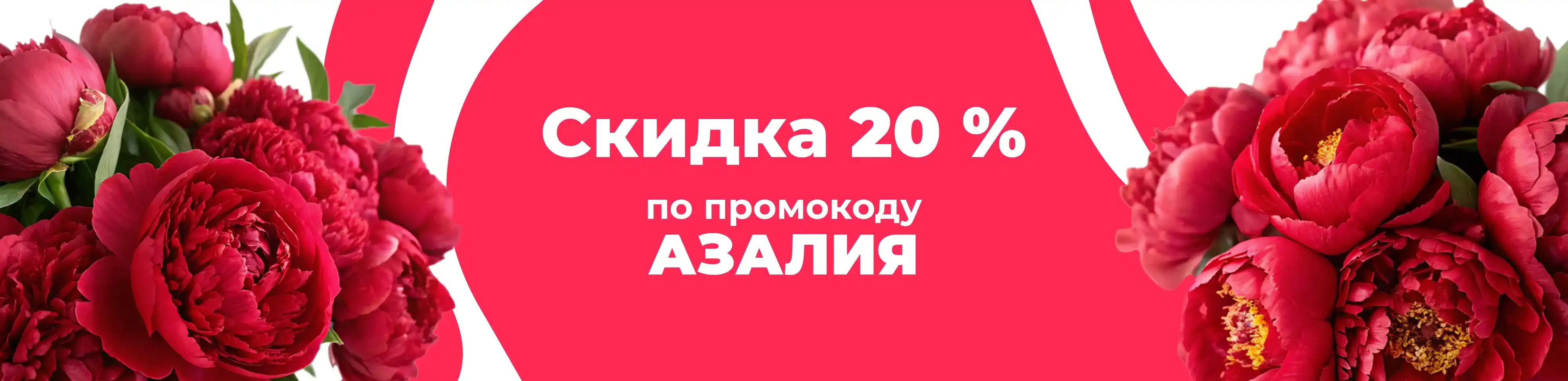 Баннер для рубрики: Пионы Мун