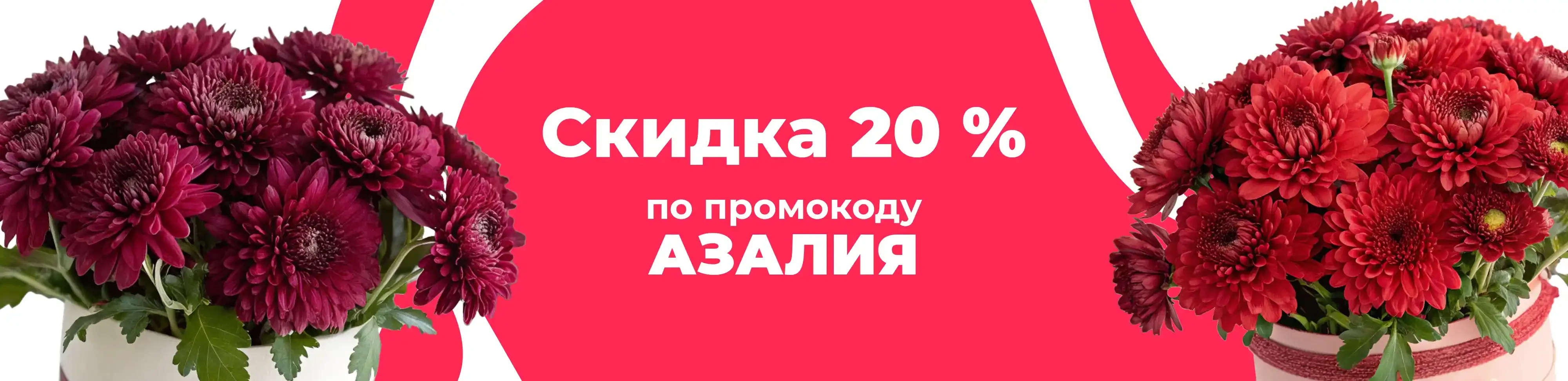 Баннер для рубрики: Премиум хризантемы