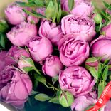 Маленькое фото 5: Букет из 7 кустовых пионовидных розовых роз, в пленке с зеленью