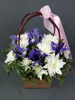 Фото флориста 1: Букет в пакете (сумочке) для цветов из 7 ирисов и 2 кустовых хризантем