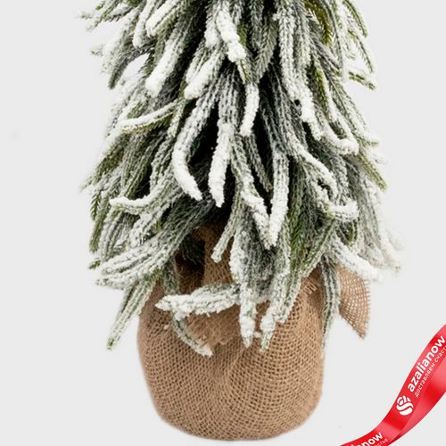 Фото 5: Ель искусственная заснеженная в кашпо, Н60х22х22см, зеленый/белый