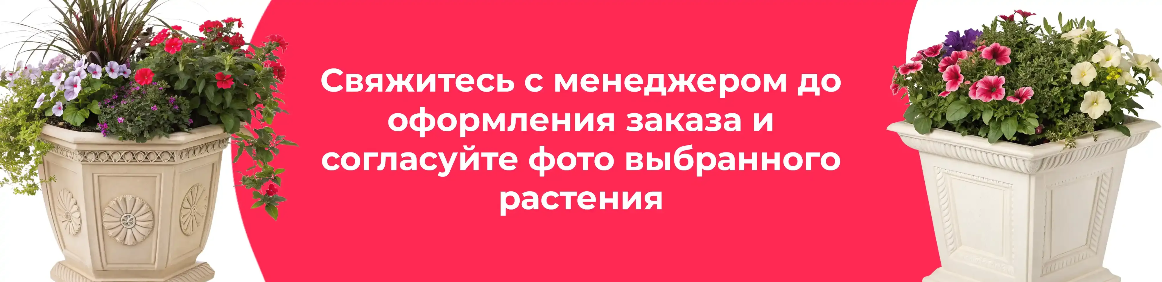 Баннер для рубрики: Большие кашпо для улицы