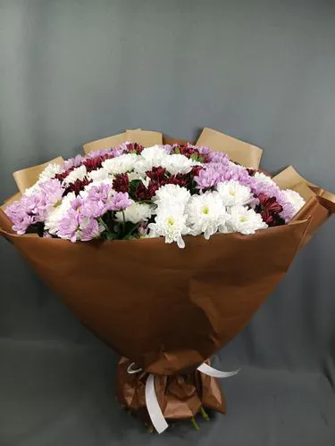 Фото флориста 3: Хризантемы одноголовые