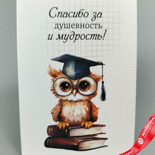 Открытка «Спасибо за душевность и мудрость», 7х10 см