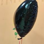 Фото флориста 1: Шар с гелием «Звезда», 48 см, черный